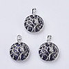 Natural Sodalite Pendants G-K234-E01-1