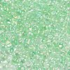 6/0 Inside Colours Fringe Glass Seed Beads X1-SEED-A034-03A-3