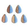 Resin & Walnut Wood Pendants RESI-S389-027A-2