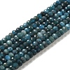 Natural Apatite Beads Strands G-B074-A02-02-1