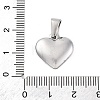 304 Stainless Steel Pendants STAS-P278-01N-P-1-3