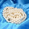 Round Shell Pearl Bead Strands BSHE-L011-10mm-A013A-2