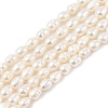 Natural Cultured Freshwater Pearl Beads Strands PEAR-I007-01B-06B-2