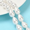 Electroplate Shell Pearl Beads Strands BSHE-O019-05-2