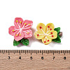 Opaque Resin Cabochons RESI-R455-01K-3