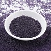 MIYUKI Round Rocailles Beads X-SEED-G007-RR0157-2