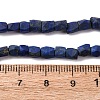 Natural Lapis Lazuli Beads Strands G-F808-K01-01-5