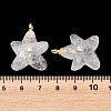 Natural Quartz Crystal Pendants X-G-H353-01G-02-3
