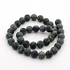 Frosted Natural Kambaba Jasper Beads Strands G-M272-14-10mm-2