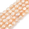 Natural Cultured Freshwater Pearl Beads Strands PEAR-P064-20L-02B-2