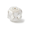 Transparent Acrylic Beads CLAY-NH0003-04S-2