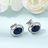 6 Pairs 304 Stainless Steel Pave Cubic Zirconia Stud Earrings SA-CBADCF0-04GP-02-2