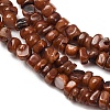 Dyed Natural Freshwater Shell Beads Strands SH-CBA2978-04A-2