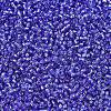 MIYUKI Round Rocailles Beads SEED-JP0008-RR2431-3