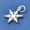 925 Sterling Silver Pendants STER-Q003-01B-S-2