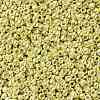 TOHO 11/0 Round Beads X-SEED-TR11-0559-2