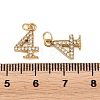 304 Stainless Steel Rhinestone Pendants STAS-N133-03E-G-3