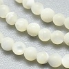 Natural White Shell Beads Strands G-A177-04-25-4