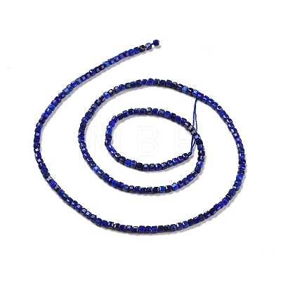 Natural Lapis Lazuli Beads Strands G-C009-B08-1
