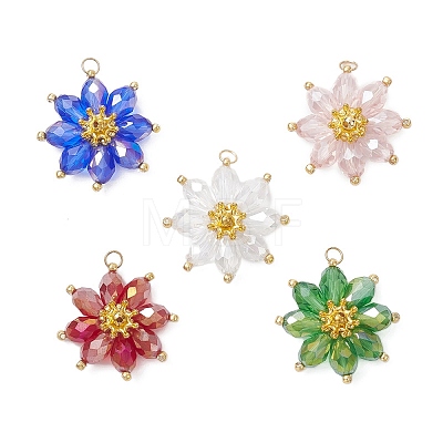 Glass Pendantns PALLOY-MZ01143-1