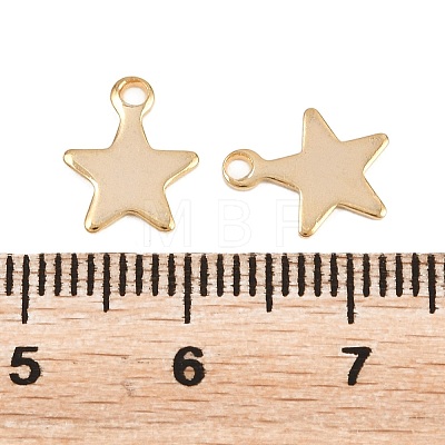 201 Stainless Steel Charms STAS-F039-04A-G-1