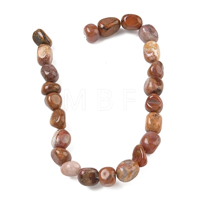 Natural Rainbow Petrified Wood Beads Strands GG-CBA9392-30-1