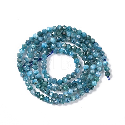 Natural Apatite Beads Strands G-P542-A01-02-1