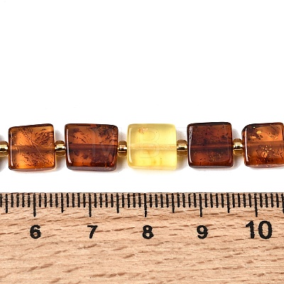 Natural Amber Beads Strands G-C260-A01-05-1