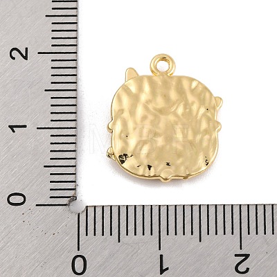 Alloy Pendants FIND-U007-11G-1