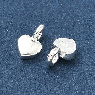925 Sterling Silver Charms STER-H119-05C-S-1