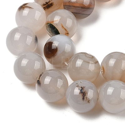 Natural Dendritic Agate Beads Strands G-A248-A07-07-1