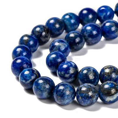 Natural Lapis Lazuli Bead Strands X-G-G953-01-8mm-1