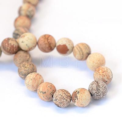 Frosted Natural Picture Jasper Round Bead Strands G-E334-4mm-26-1