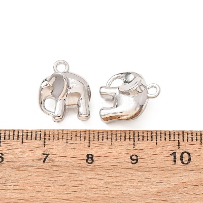 Alloy Charms AL-CBA3036-05P-1