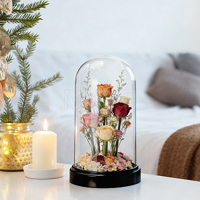 Acrylic Dome Cover DIY-WH0899-949A-1