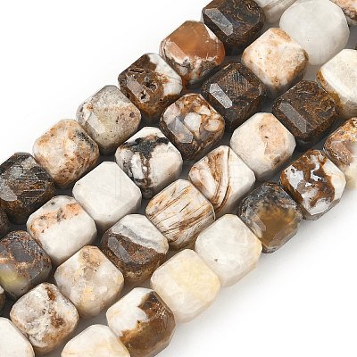 Natural Petrified Wood Beads Strands G-C267-A06-1