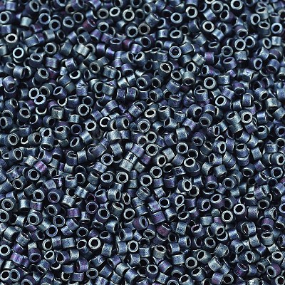 MIYUKI Delica Beads SEED-J020-DB0325-1