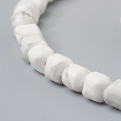 Natural Howlite Beads Strands G-I270-09-1