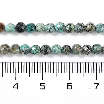 Natural Chrysocolla Beads Strands G-N342-29B-1