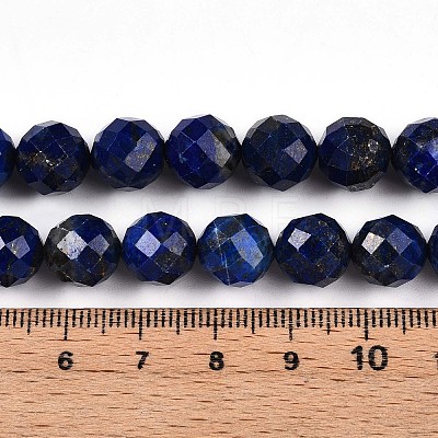 Natural Lapis Lazuli Beads Strands G-S345-10mm-24-1