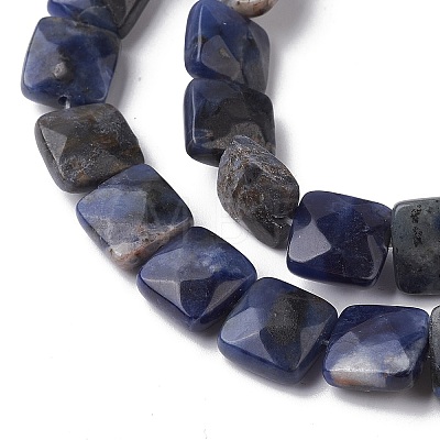 Natural Sodalite Beads Strands G-K359-B07-01-1