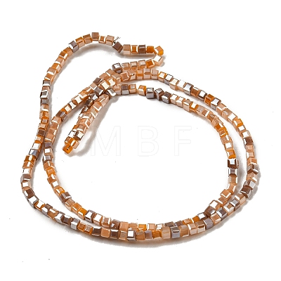Electroplate Glass Beads Strands EGLA-F121-FR-B04-1