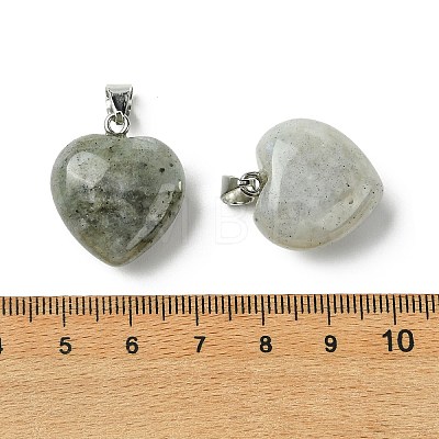 Natural Labradorite Pendants G-F820-10A-06-1