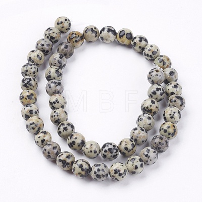 Natural Dalmatian Jasper Stone Bead Strands X-G-R193-14-8mm-1