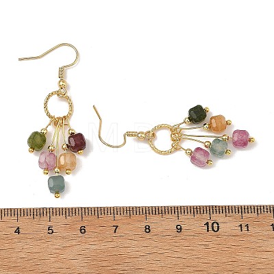 Natural Multicolor Tourmaline  Beads Tassel Dangle Earrings. with 304 Stainless Steel Earring Hooks EJEW-JE07340-1