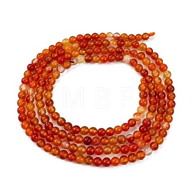 Natural Red Agate Beads Strands G-M438-A10-02-1