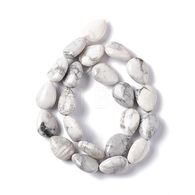 Natural Howlite Beads Strands G-L242-13-1