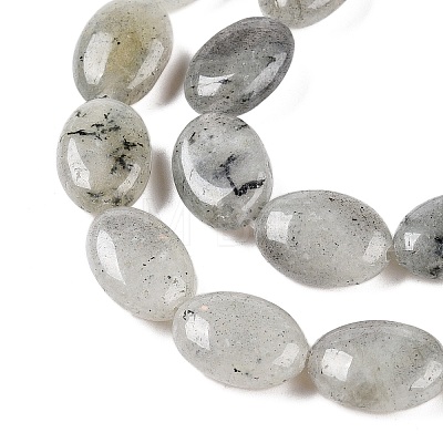 Natural Labradorite Beads Strands G-M206-42-1