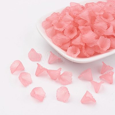 Transparent Acrylic Beads PL622-C10-1