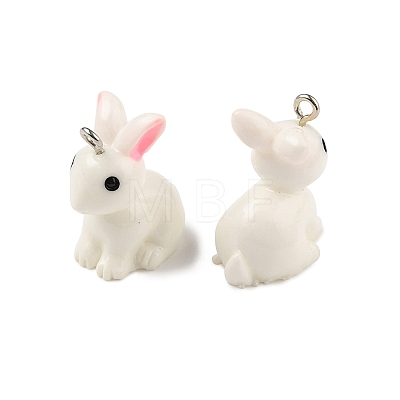 Resin Pendants RESI-S356-53-1